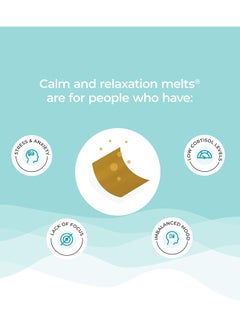 WELLBEING NUTRITION Melts Calm And Relaxation, Pack Of 2  - Image 4