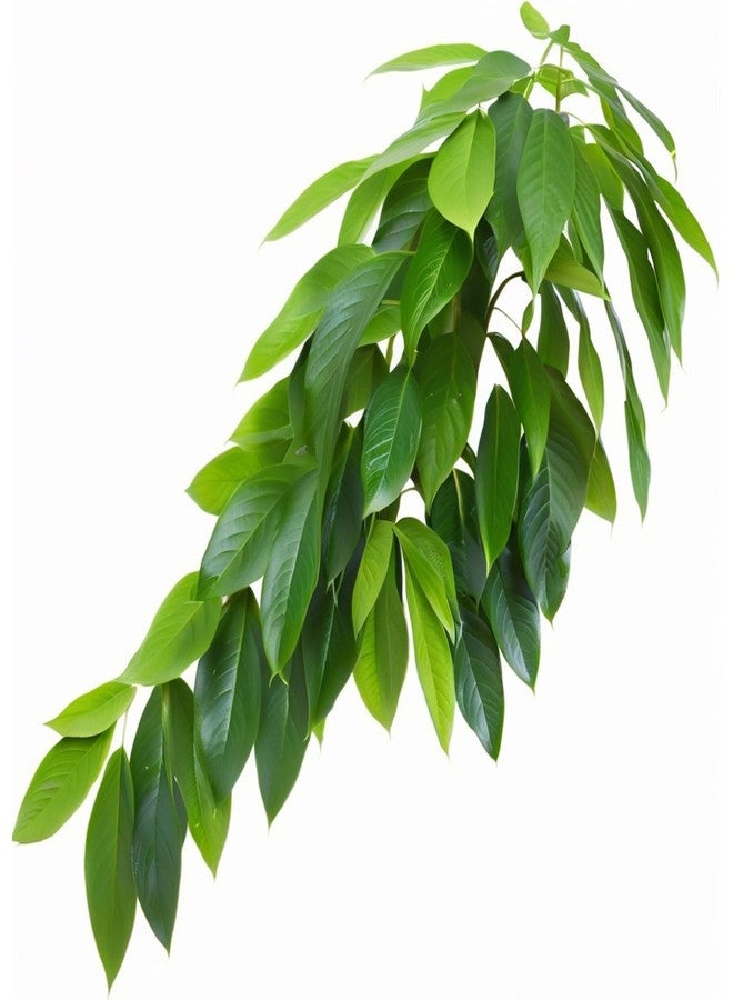 ReptiKing Reptile Terrarium Hanging Plant, Fake Plants for Reptile Enclosure, Ideal for Chameleon Bearded Dragon Lizard Leopard Gecko Crested Gecko Snake Tank Accessories, L=12 inches - Image 1