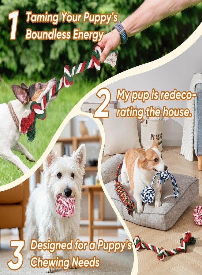 VibeVerve Dog Rope Toys 7 Pack - Puppy Teething Toys for Small/Medium Dogs - Durable Dog Chew Toys for Aggressive Chewers - Interactive Tug of War Toys for Boredom & Teeth Cleaning - Image 2