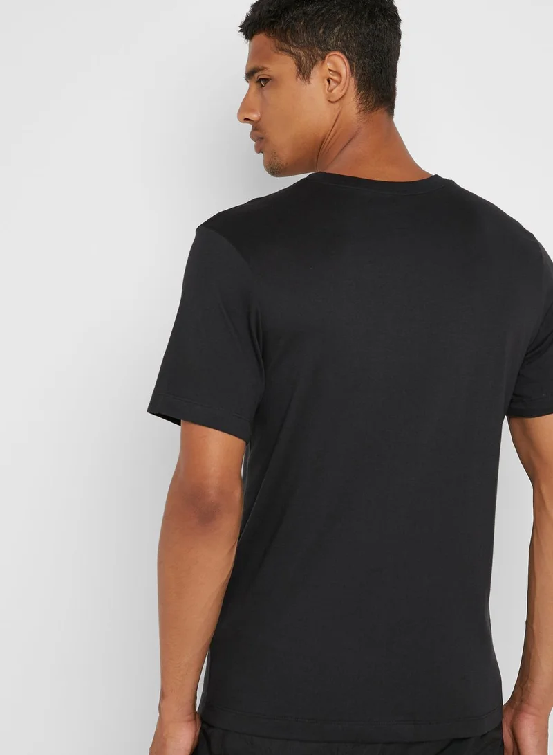 Nike LeBron James Lion T-Shirt