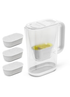 KARCHER WFP 12 + 3 FILTER  - Image 1