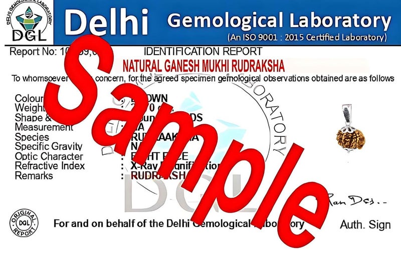 PTM رودراکشا نيبالي أصلي معتمد 1/2/3/4/5/6/7/8/9/10/11/غانش/غوريشانكار بموخى فلكي قلادة فضة استرلينية 925 علامة BIS للرجال والنساء - Image 4