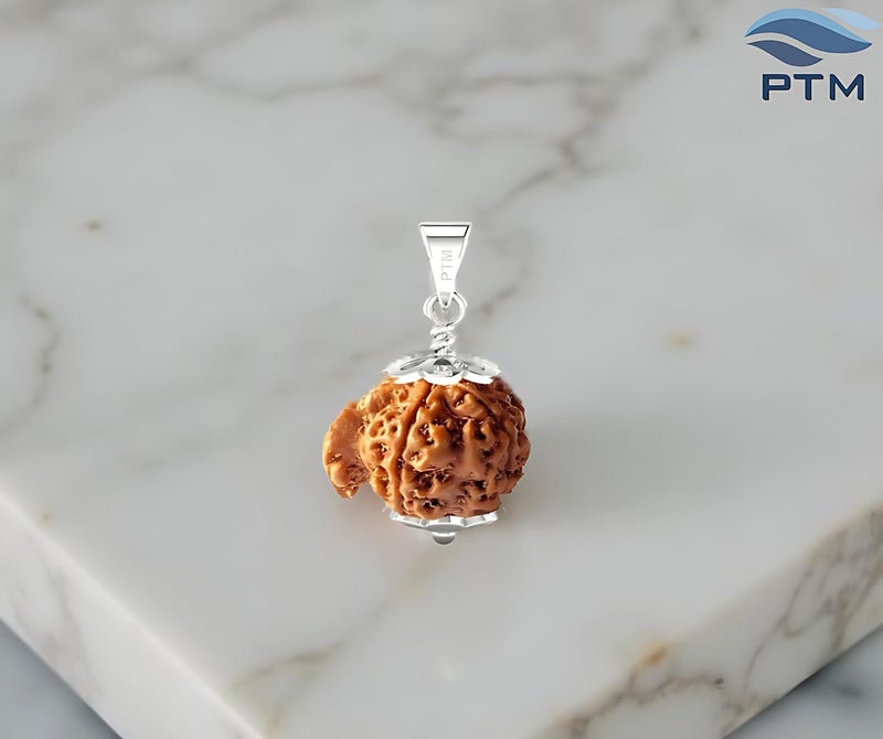 PTM رودراکشا نيبالي أصلي معتمد 1/2/3/4/5/6/7/8/9/10/11/غانش/غوريشانكار بموخى فلكي قلادة فضة استرلينية 925 علامة BIS للرجال والنساء - Image 2