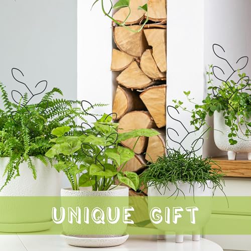 Natrlart 2 Pcs Metal Leaf Shape Garden Trellis for Climbing Plant, Potted Plants, Mini Plants, Indoor Plants Trellis, Home Plant Tool, Plant Lover Gifts Ideas for Garden Potted, Hoya, Pothos, Flower, Monstera - Image 5