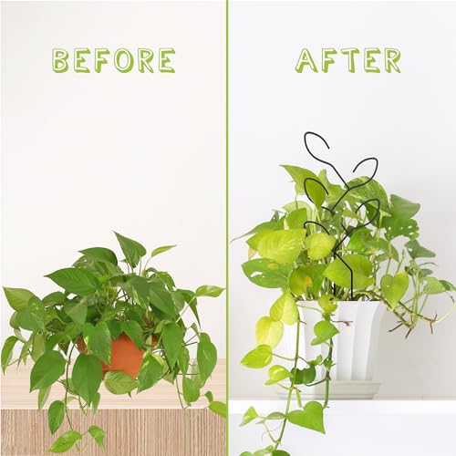 Natrlart 2 Pcs Metal Leaf Shape Garden Trellis for Climbing Plant, Potted Plants, Mini Plants, Indoor Plants Trellis, Home Plant Tool, Plant Lover Gifts Ideas for Garden Potted, Hoya, Pothos, Flower, Monstera - Image 4
