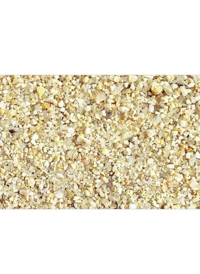 ADA - La Plata Cosmetic Sand 2 KG - Image 1