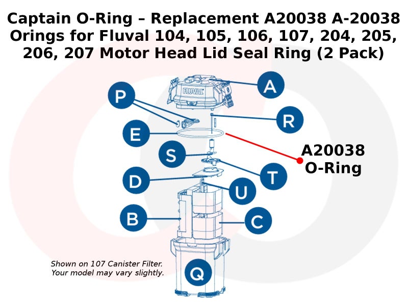 Captain O-Ring – Replacement A20038 A-20038 Orings for Fluval 104, 105, 106, 107, 204, 205, 206, 207 Motor Head Lid Seal Ring (2 Pack) - Image 2