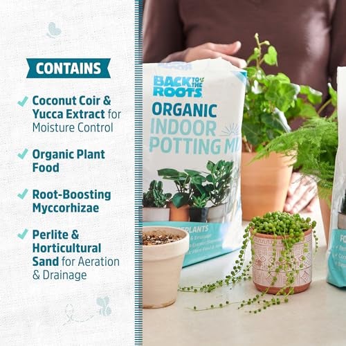 Back to the Roots 100% Organic Indoor Potting Mix (Value 12 Quart) | Promotes Healthy Houseplant Growth| Made in The USA - Image 4