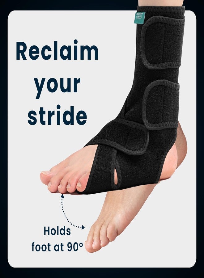 Welnove Adjustable Drop Foot Brace for Everyday Support - Stabilizes Ankle and Arch, Aids Recovery and Comfort for Foot Drop, Plantar Fasciitis, and Nerve Injuries（Left） - Image 2
