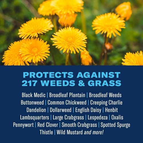 BioAdvanced All-In-One Lawn Weed and Crabgrass Killer I, Concentrate, 40 oz - Image 2