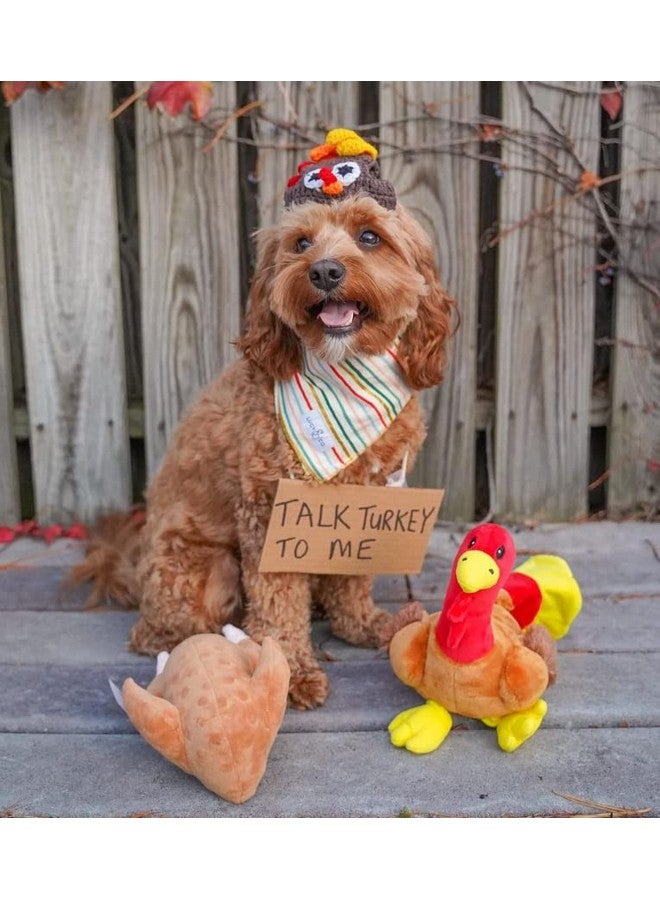 Midlee Roasted Thanksgiving Turkey Plush Dog Toy (Small) - Image 4