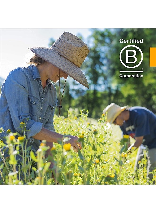 HERB PHARM مستخلص أرنيكا السائل العضوي المعتمد لدعم الألم الطفيف، 1 أونصة سائلة - Image 5