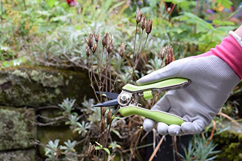 Spear  Jackson Spear & Jackson 56418G Green Garden Snips - Image 3