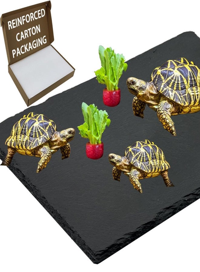 INOSCIND Extra Large 15.7 × 11.8" Reptile Basking Platform, Reptile Slate, Basking Rock, Slate Tiles Rocks for Reptiles,Terrarium Bowls for Bearded Dragon Tortoise Turtle Ball Python Snake Lizard Gecko - Image 1