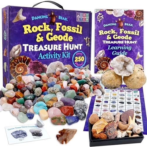 DANCING BEAR Rock, Mineral & Geodes Treasure Hunt Activity Kit (250 Pc Set) Real Shark Teeth Fossils, ID Sheet & Rock Book, STEM - Image 1