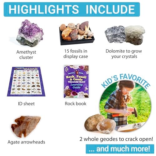 DANCING BEAR Rock, Mineral & Geodes Treasure Hunt Activity Kit (250 Pc Set) Real Shark Teeth Fossils, ID Sheet & Rock Book, STEM - Image 4