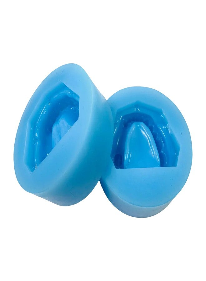 iDENTical Partially Edentulous Silicone Cast Moulds - Durable Flexible Precise Dental Molds for Prosthetic Applications, Training and Demonstration - Ideal for Restorative Dentistry - Image 1