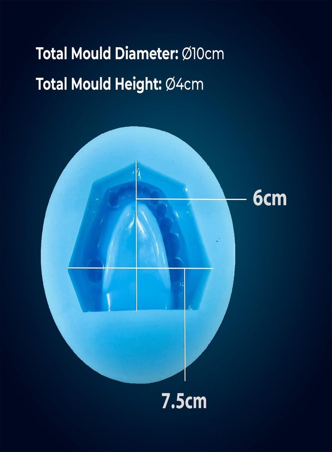 iDENTical Partially Edentulous Silicone Cast Moulds - Durable Flexible Precise Dental Molds for Prosthetic Applications, Training and Demonstration - Ideal for Restorative Dentistry - Image 3