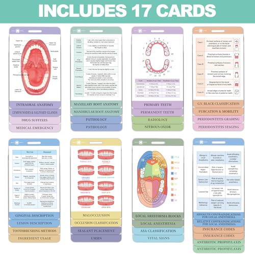Netrca Dental Hygiene Reference Study Cards Dental Hygiene Student Must Haves Future RDH Bundle for Dental Hygienists Student Assistant Make Your Dental Journey - Image 5