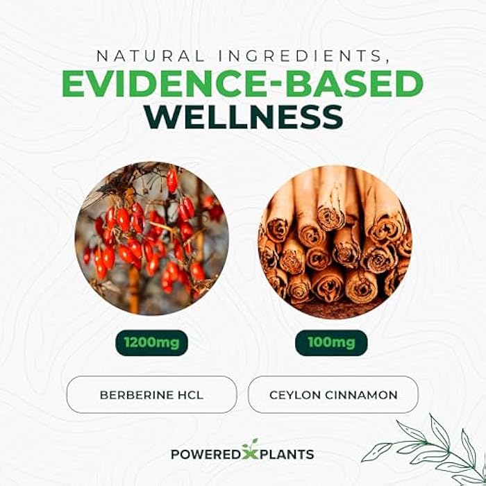 POWERED X PLANTS Pure Berberine Supplement - 1300mg Berberine with Ceylon Cinnamon for Metabolism & Immune System Support - 2 Pack, 120 Servings - Image 4
