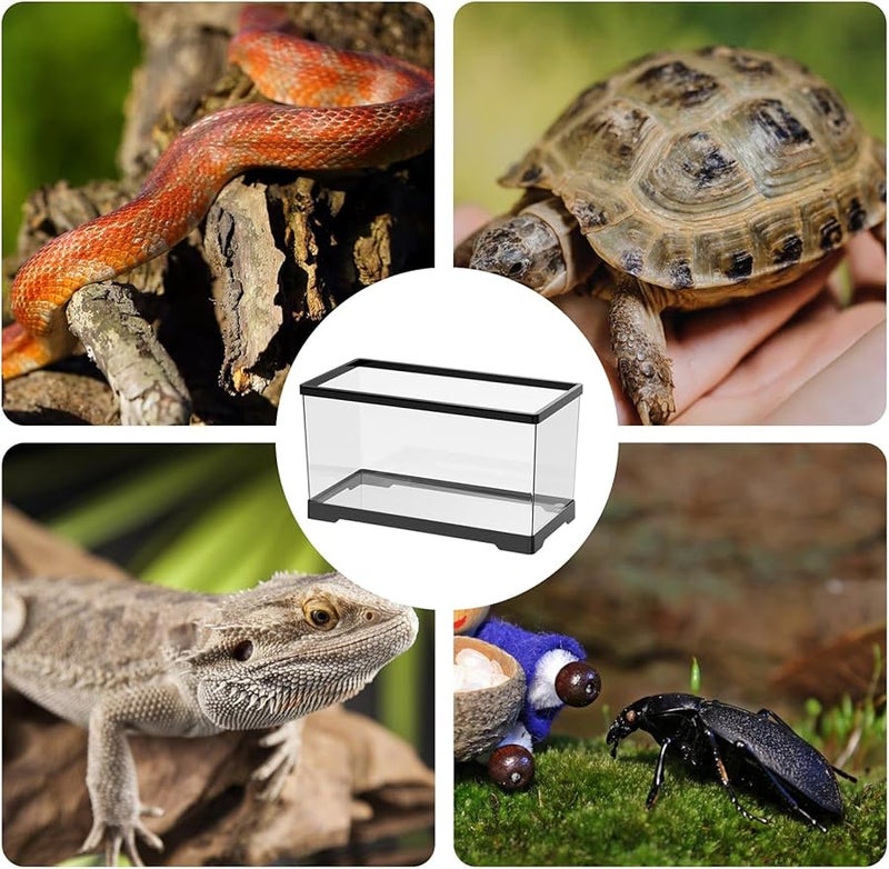 حوض أسود للسلاحف مع نظام تصريف سفلي للثعابين والضفادع وسرطانات البحر - Image 3