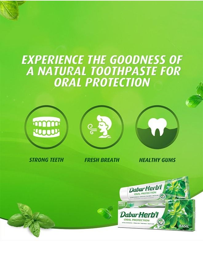 Dabur - Dabur Herbal Basil Oral Protectection Toothpaste | Enriched With Basil | Natural Toothpaste For Healthy Gums & Strong Teeth - 150g + Toothbrush (Pack of 2) - Image 1