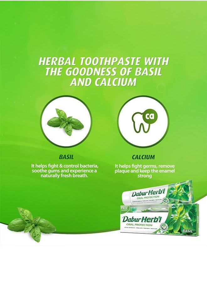 Dabur - Dabur Herbal Basil Oral Protectection Toothpaste | Enriched With Basil | Natural Toothpaste For Healthy Gums & Strong Teeth - 150g + Toothbrush (Pack of 2) - Image 1