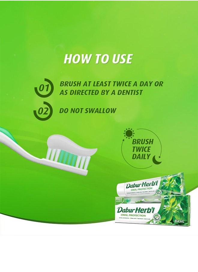 Dabur - Dabur Herbal Basil Oral Protectection Toothpaste | Enriched With Basil | Natural Toothpaste For Healthy Gums & Strong Teeth - 150g + Toothbrush (Pack of 2) - Image 1