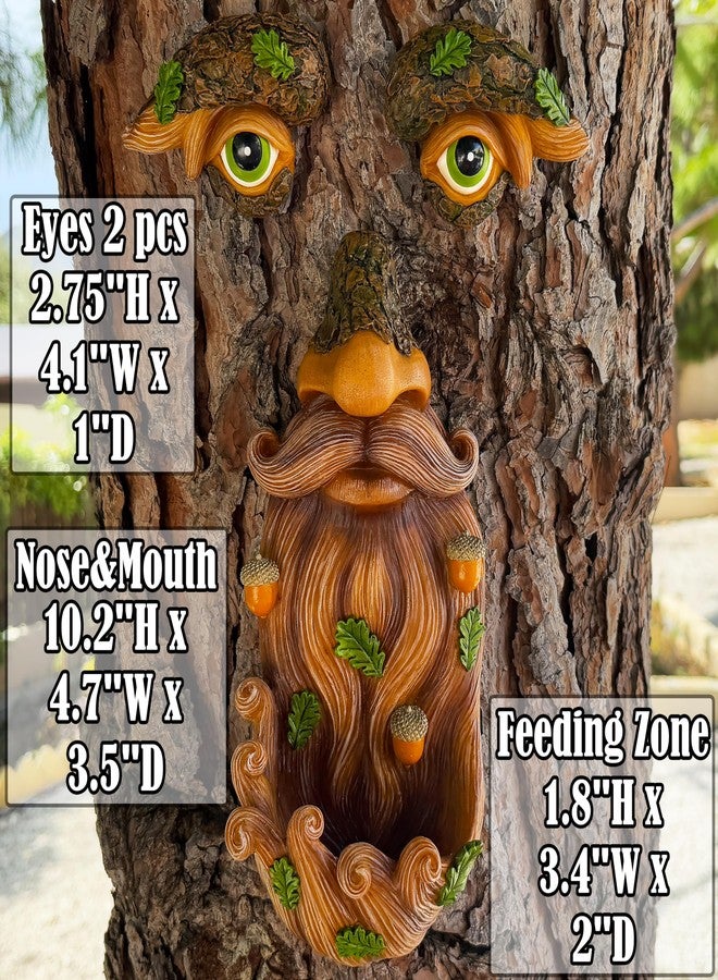 Mood Lab Tree Face Decor - Outdoor Bird Feeder with Acorns - Old Man Tree Face Garden Hugger Decoration - Image 2