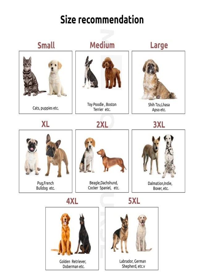 Mutt of Course Sheldon Pooper Dog T -Shirt/Length 24"/ for Dogs Like Golden Retrievers, Boxers, and Similar Breeds (4XL) - Image 4