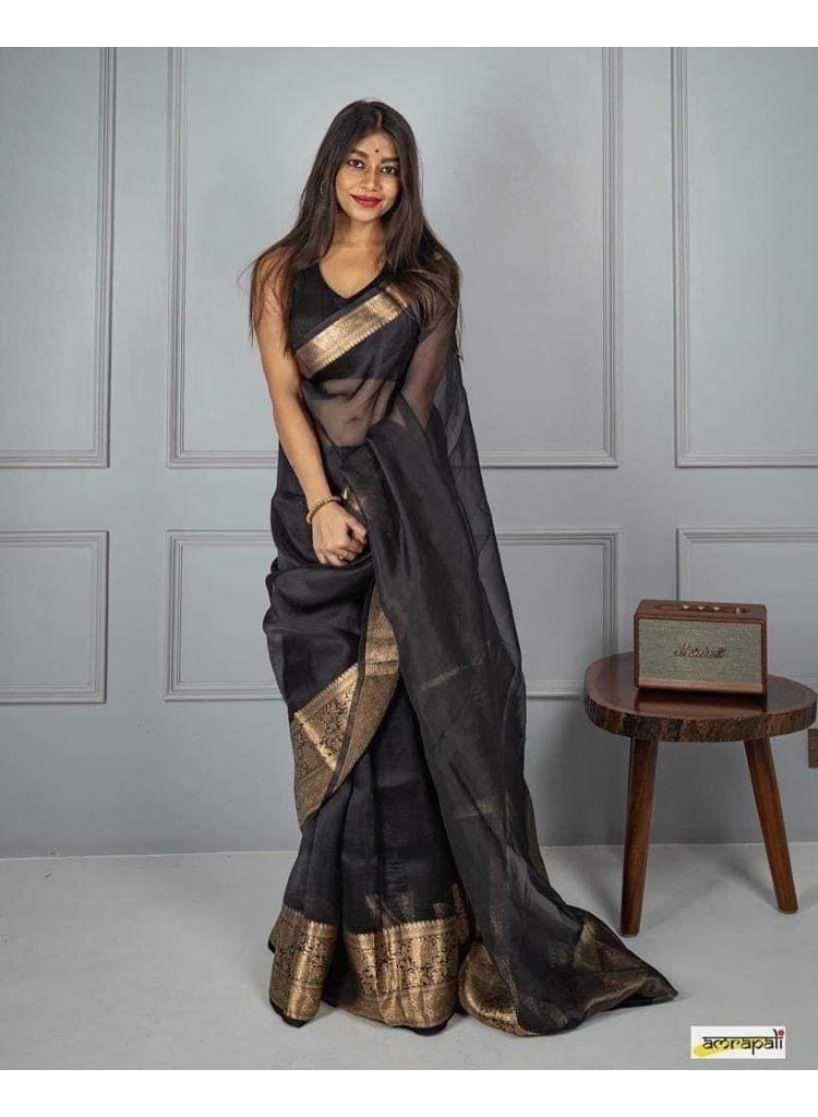 Organza saree | Women | India | organza Saree with printed works | Printed saree