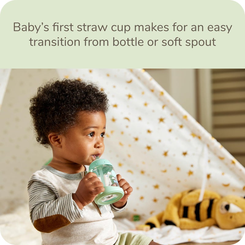 NUK Learner Straw Cup, 5oz, 2-Pack - Toddler Sippy Cup with Soft Straw for Easy Drinking, Suitable for Ages 8 Months and Up, Green - Image 3