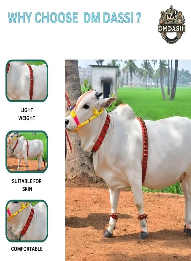 DM DASII MAT طوق DM DASII Gungaroo للأبقار/الجاموس | متين ومريح | أجراس نحاسية لصوت هادئ | حزام رقبة قوي وقابل للتعديل للماشية - Image 3
