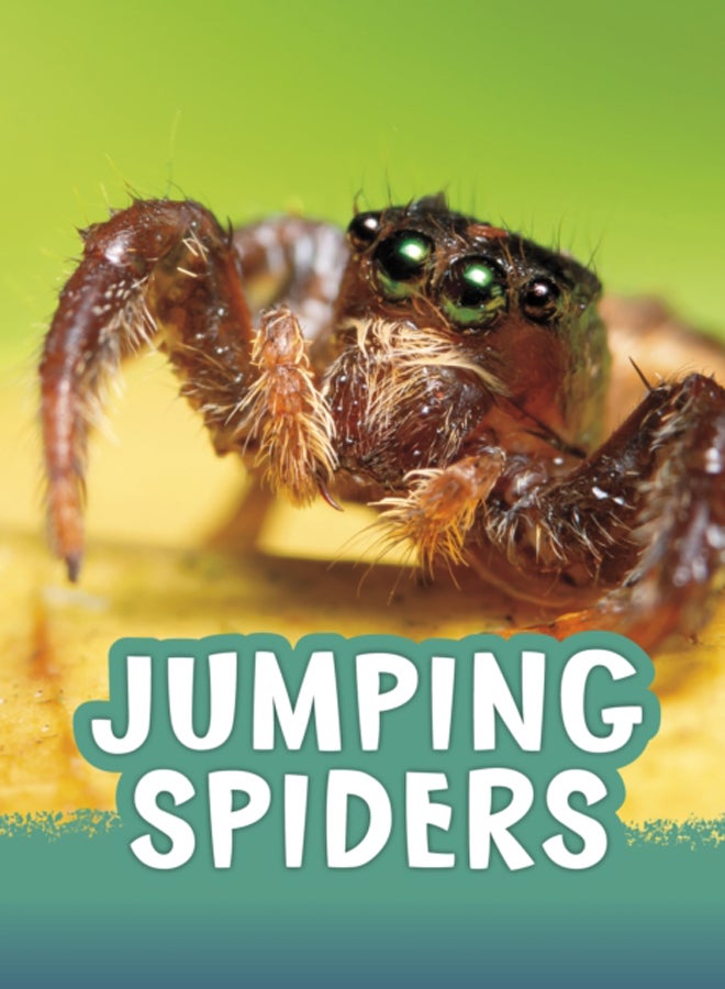 Jumping Spiders