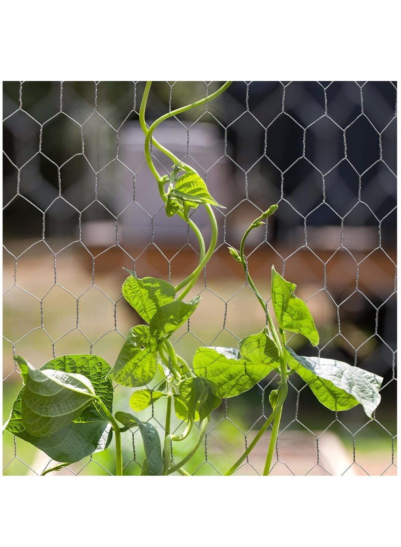Chicken Wire Mesh Roll, Chicken Wire Fence, Strong Galvanized Wire Mesh Fence, Hexagonal Fine Mesh Garden Fence