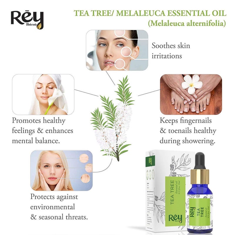 Rey Naturals Rey Naturals tea tree oil Rosemary essential oils Pure 100 Natural for Healthy Skin Face and Hair 15 ml 15 ml - Image 5