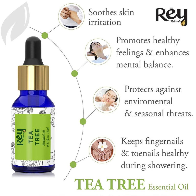 Rey Naturals Rey Naturals tea tree oil Rosemary essential oils Pure 100 Natural for Healthy Skin Face and Hair 15 ml 15 ml - Image 3