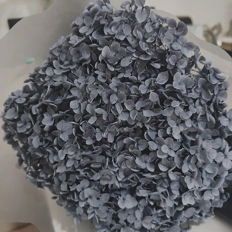 Bluejw Real Touch Dried Flowers Bouquet with Preserved Hydrangea – Natural Dried Plants for Wedding & Home Decoration - Image 1