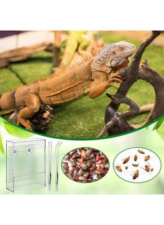 Geyoga Geyoga Bug Feeder for Bearded Dragon with 2 Tweezers and Suction Cups Chameleon Bug Bowl Bearded Dragon Acrylic Reptile Feeder Box Wall Mounted Insect Cage for Lizard Gecko Frog(Transparent)  - Image 5