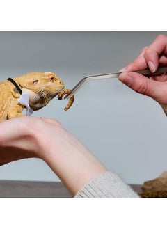 Geyoga Geyoga Bug Feeder for Bearded Dragon with 2 Tweezers and Suction Cups Chameleon Bug Bowl Bearded Dragon Acrylic Reptile Feeder Box Wall Mounted Insect Cage for Lizard Gecko Frog(Transparent)  - Image 3