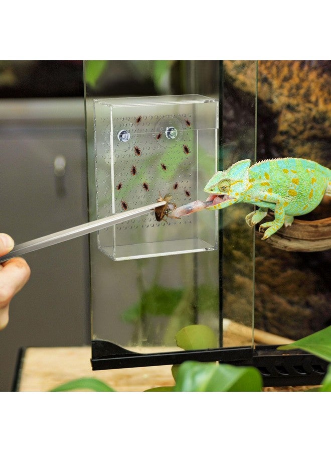 Geyoga Bug Feeder for Bearded Dragon with 2 Tweezers and Suction Cups Chameleon Bug Bowl Bearded Dragon Acrylic Reptile Feeder Box Wall Mounted Insect Cage for Lizard Gecko Frog(Transparent) - Image 2