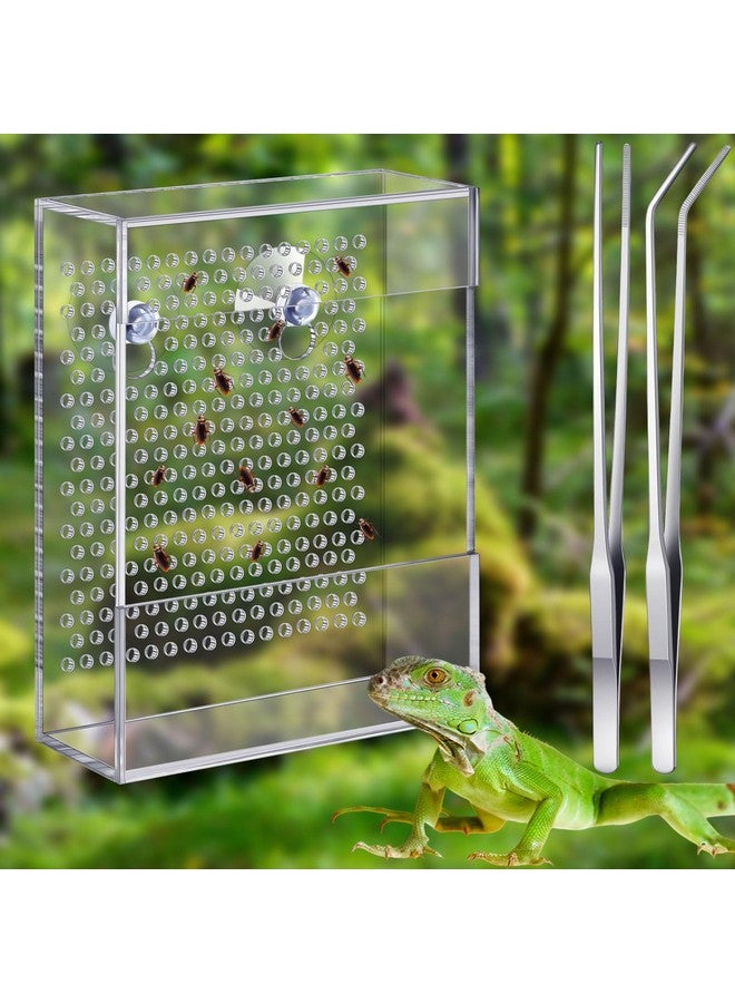 Geyoga Bug Feeder for Bearded Dragon with 2 Tweezers and Suction Cups Chameleon Bug Bowl Bearded Dragon Acrylic Reptile Feeder Box Wall Mounted Insect Cage for Lizard Gecko Frog(Transparent) - Image 1