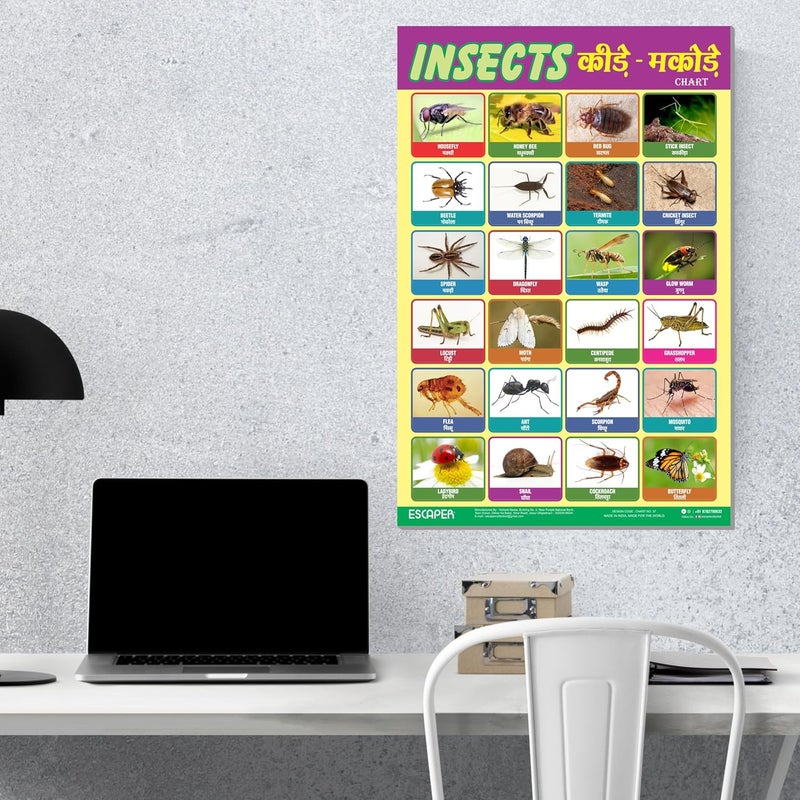 ESCAPER Insects Educational Charts for Kids, Charts for Kids Learning (11.5 x 17.5 inches), Kids Study Material, Kids Learning Books, Educational Posters - Image 4