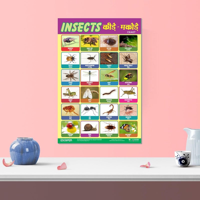 ESCAPER Insects Educational Charts for Kids, Charts for Kids Learning (11.5 x 17.5 inches), Kids Study Material, Kids Learning Books, Educational Posters - Image 5