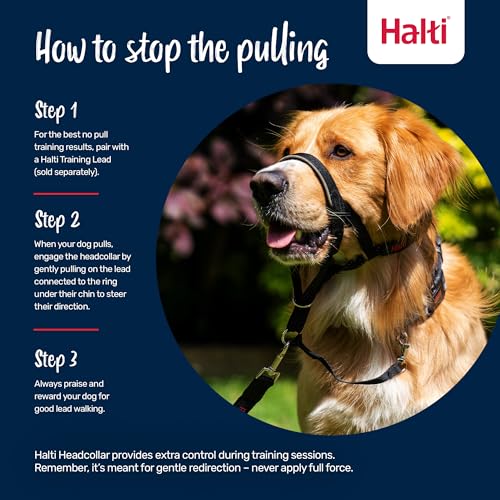 HALTI Headcollar - to Stop Your Dog Pulling on The Leash. Adjustable, Reflective and Lightweight, with Padded Nose Band. Dog Training Anti-Pull Collar for Small Dogs (Size 1, Desert Sand) - Image 4