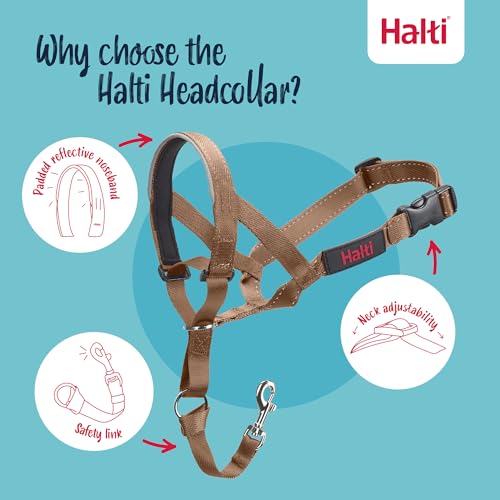 HALTI Headcollar - to Stop Your Dog Pulling on The Leash. Adjustable, Reflective and Lightweight, with Padded Nose Band. Dog Training Anti-Pull Collar for Small Dogs (Size 1, Desert Sand) - Image 3