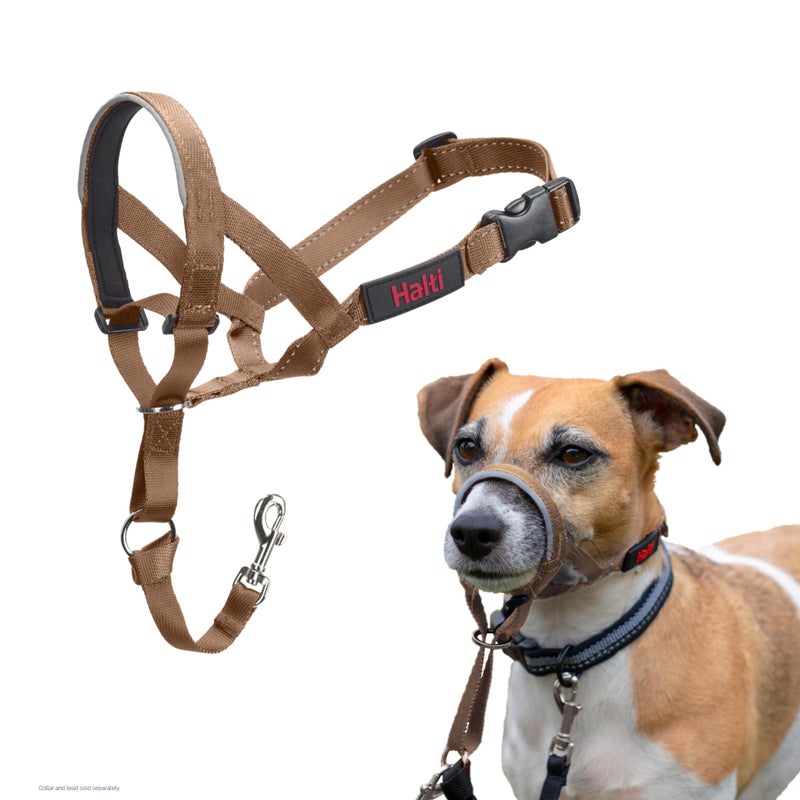 HALTI Headcollar - to Stop Your Dog Pulling on The Leash. Adjustable, Reflective and Lightweight, with Padded Nose Band. Dog Training Anti-Pull Collar for Small Dogs (Size 1, Desert Sand) - Image 5