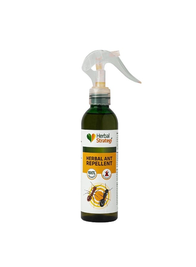 Herbal Strategi Herbal Strategi Ant Repellent Spray - 200ml | 100% Herbal & Ayurvedic Way to SHUU Ants Away | Guaranteed Results | Works on All Ant Types | For Home, Kitchen, Office & Garden - Image 1