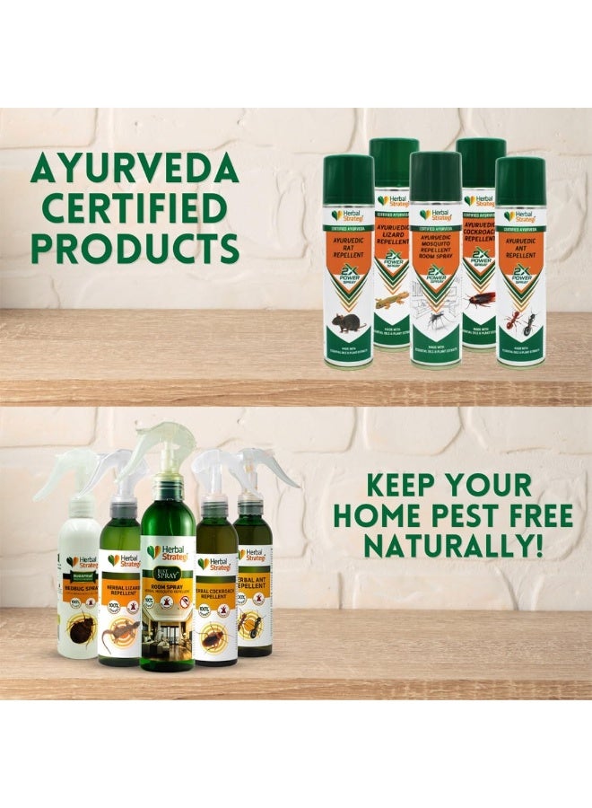 Herbal Strategi Herbal Strategi Ant Repellent Spray - 200ml | 100% Herbal & Ayurvedic Way to SHUU Ants Away | Guaranteed Results | Works on All Ant Types | For Home, Kitchen, Office & Garden - Image 5