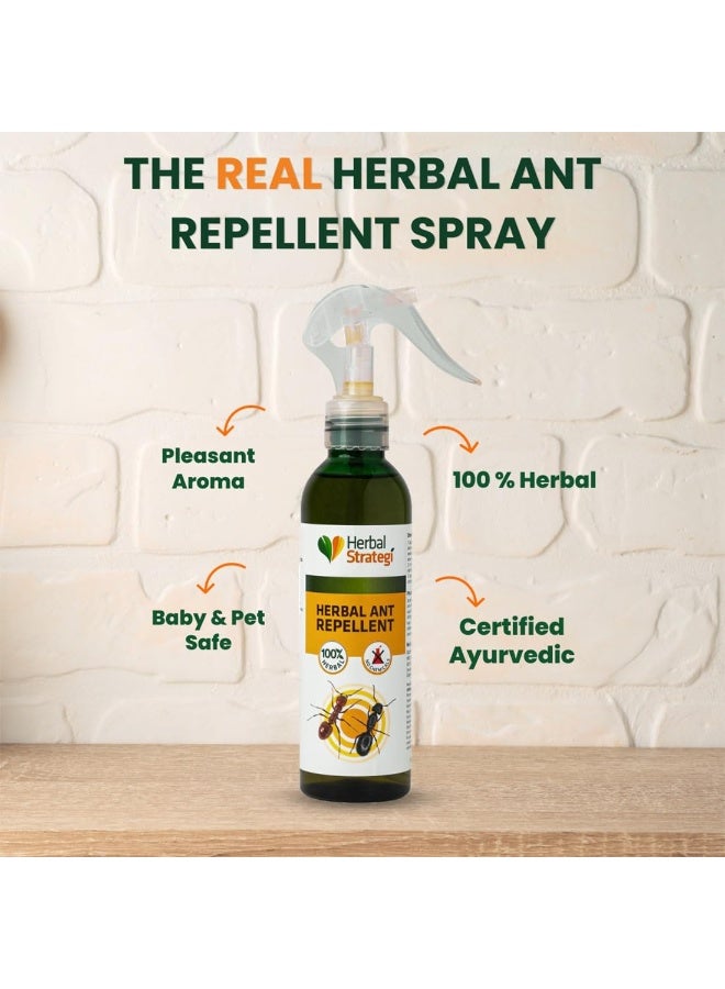 Herbal Strategi Herbal Strategi Ant Repellent Spray - 200ml | 100% Herbal & Ayurvedic Way to SHUU Ants Away | Guaranteed Results | Works on All Ant Types | For Home, Kitchen, Office & Garden - Image 2